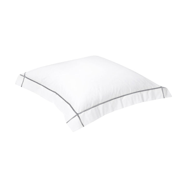 Silver.  Euro Sham