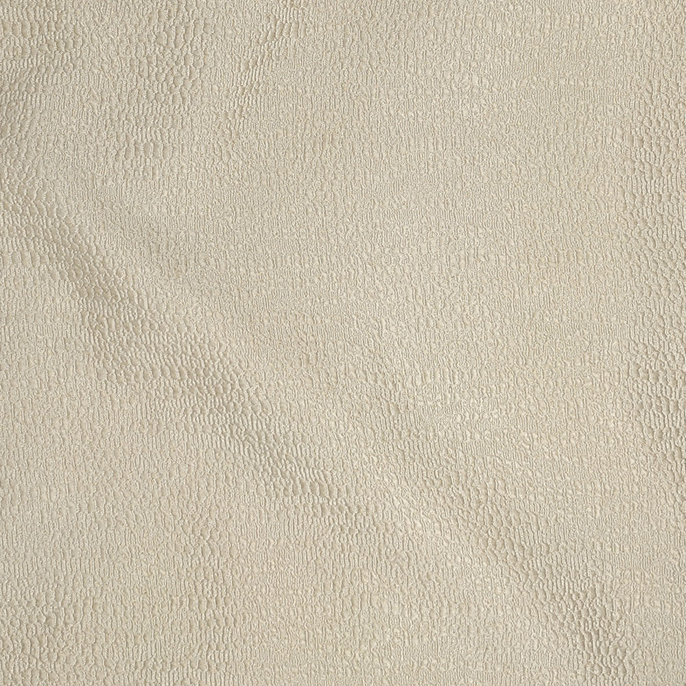 Sahara