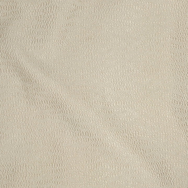 Sahara