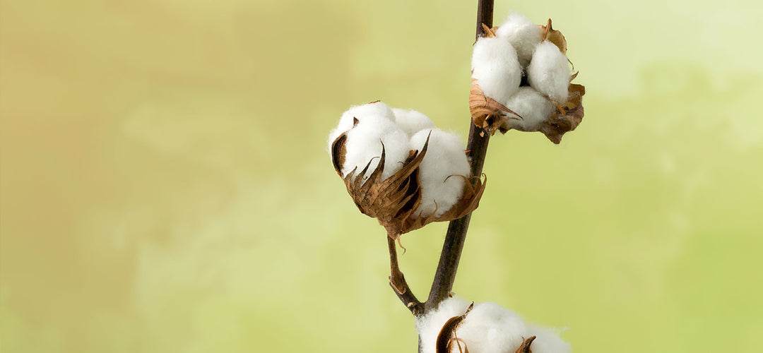 How To Find The Best Bath Towels