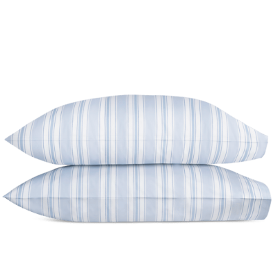 Blue Case Pair