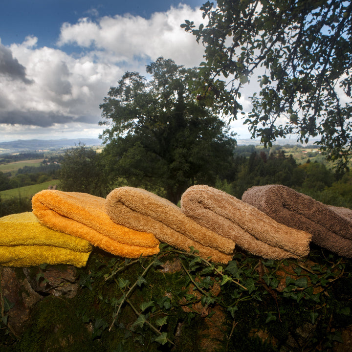 Left to Right: Curcuma, Safran, Gold, Croissant, Funghi