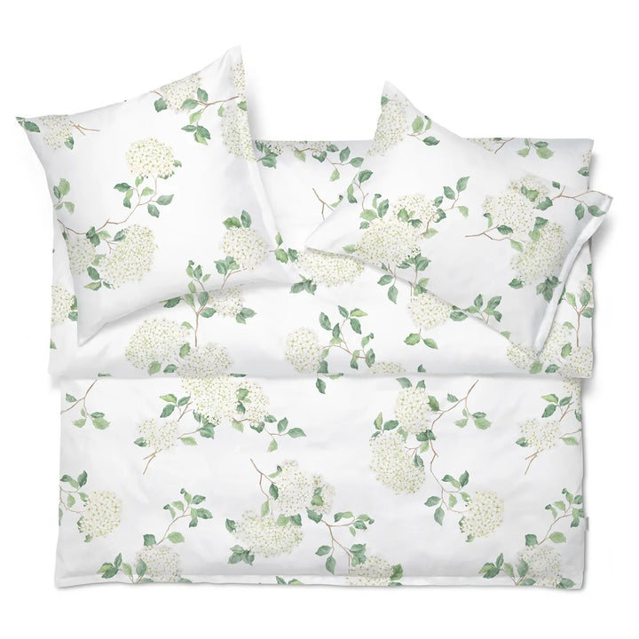 Hortensia Shams by Schlossberg Switzerland