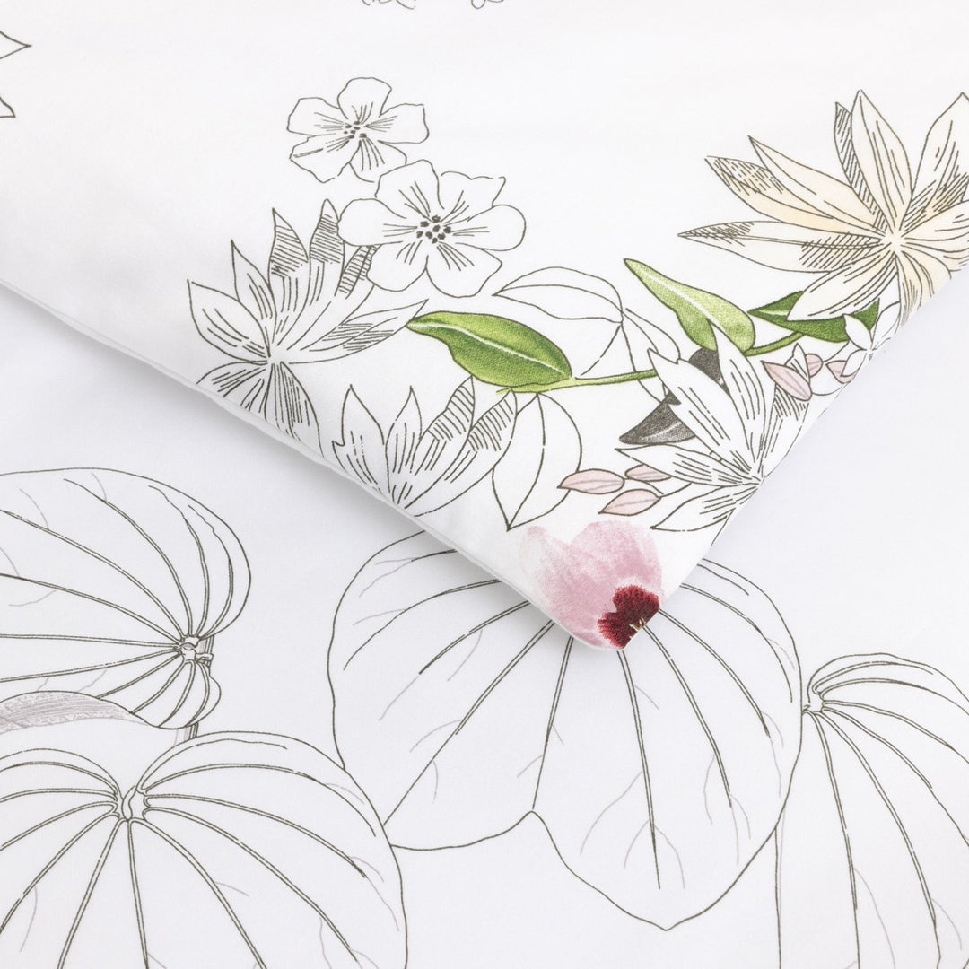 Orchidee Detail
