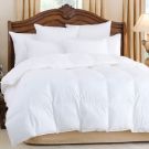 Brass Bed ^ Emerald Winter Weight Comforters
