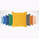 Iosis ^ Pigment Decorative Pillows