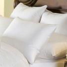 Brass Bed ^ Vail Firm Pillows
