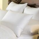 Brass Bed ^ Vail Medium Pillows